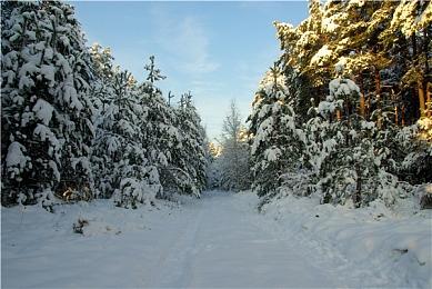 TI10冠军Team Spirit发推：反对战争 珍爱和平